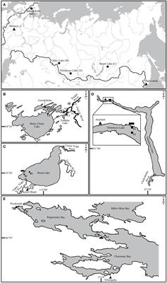 Dependence of element composition of bile of freshwater and marine fishes on some abiotic and biotic factors